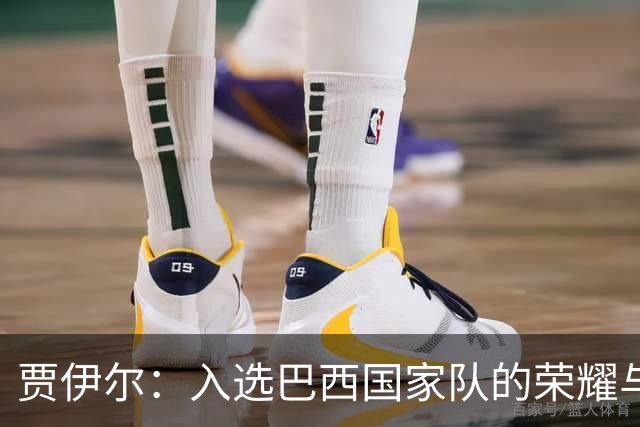 贾伊尔：入选巴西国家队的荣耀与梦想的实现